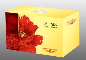 武汉彩箱 武汉彩箱